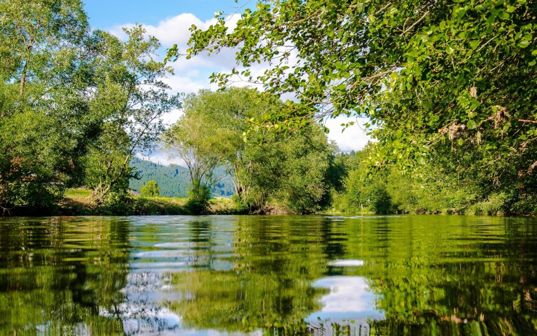 ADSM Unveil Multi-Million Pound AquaMark Scheme to Combat Global Water Shortage